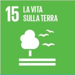15-Vita sulla Terra 